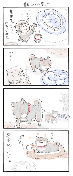 #4コマ漫画 #柴犬
新しいの買った 
