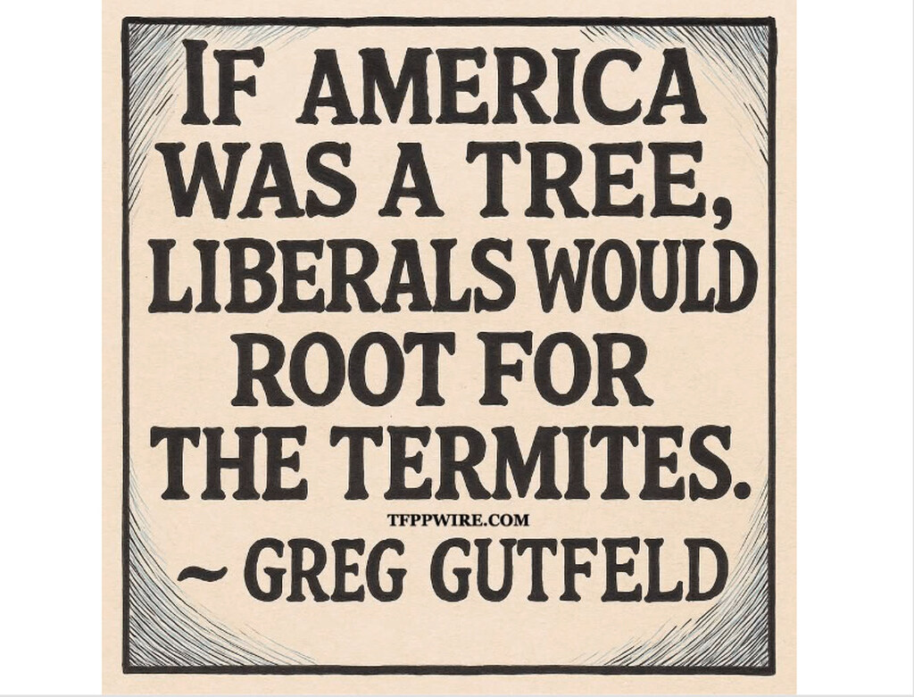 Show me the lie?