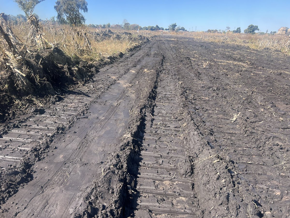 CHRA Harare tweet media