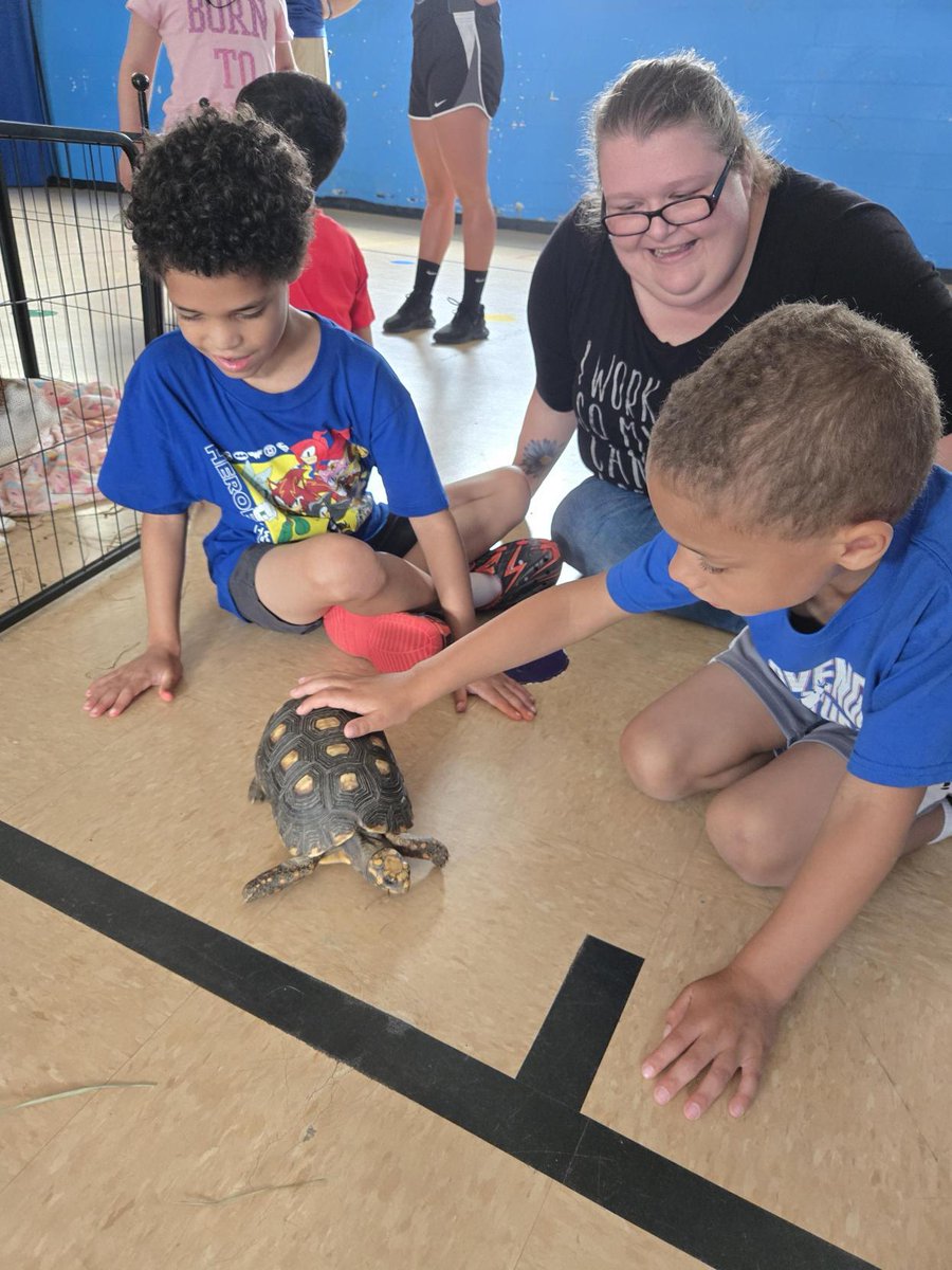 Our school-age special education program at Rosewood had a fun and educational visit from Niagara Downunder! Students got up close with some amazing animal friends. It was a wildly good time! 🐰🐢🦘

#Niagara #DownUnder #pettingzoo #funwithfriends #Rosewood