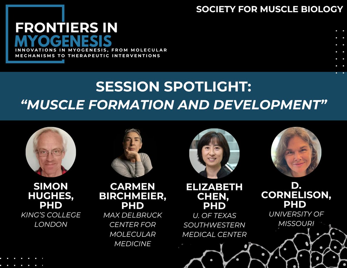 Frontiers In Myogenesis (@muscandreg) on Twitter photo Frontiers In Myogenesis session spotlight! Don't miss "Muscle Formation and Development" with Simon Hughes, PHD (<a href="/KingsCollegeLon/">King's College London</a>), Carmen Birchmeier, PHD (<a href="/MDC_Berlin/">Max Delbrück Center</a>), Elizabeth Chen, PHD (<a href="/UTSWMedCenter/">UT Southwestern Medical Center</a>), and D. Cornelison, PHD (<a href="/Mizzou/">Mizzou</a>) Frontiers In Myogenesis session spotlight! Don't miss "Muscle Formation and Development" with Simon Hughes, PHD (<a href="/KingsCollegeLon/">King's College London</a>), Carmen Birchmeier, PHD (<a href="/MDC_Berlin/">Max Delbrück Center</a>), Elizabeth Chen, PHD (<a href="/UTSWMedCenter/">UT Southwestern Medical Center</a>), and D. Cornelison, PHD (<a href="/Mizzou/">Mizzou</a>)