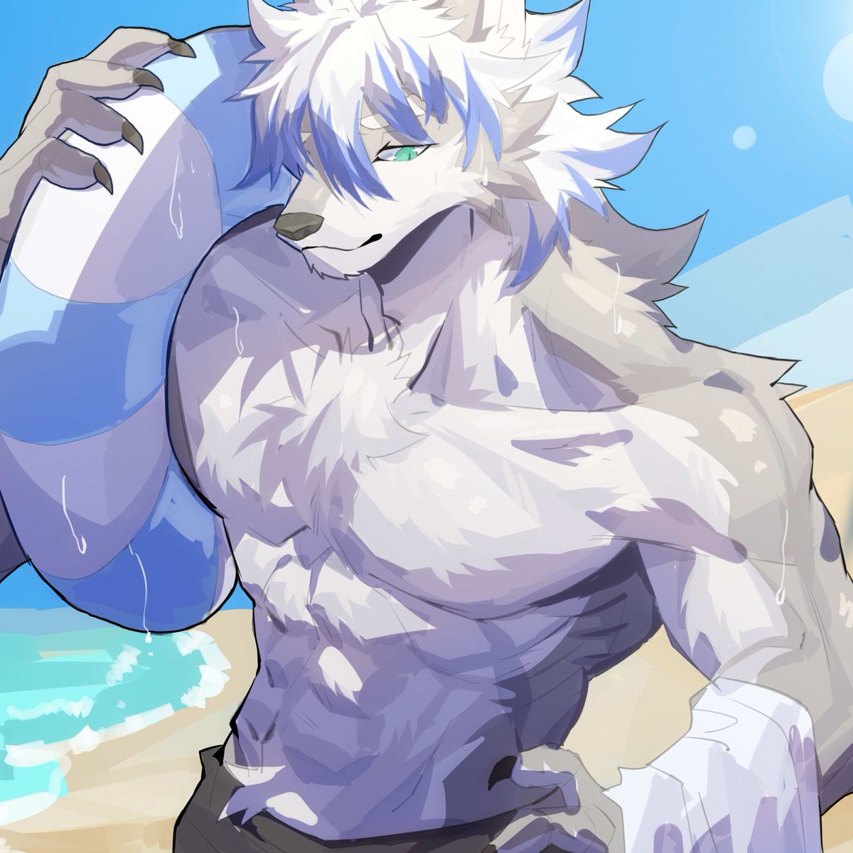 🐺🌞