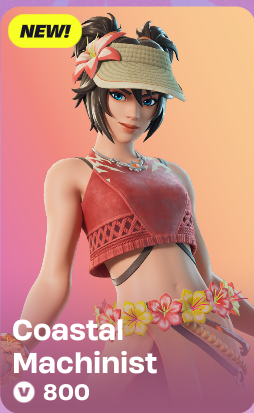 800 VBUCKS ?! GIVE ME