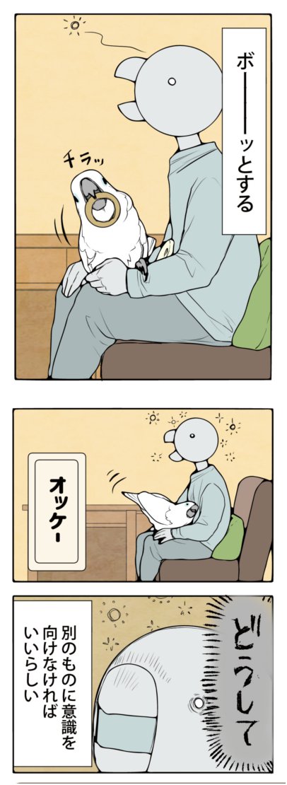 飼い主の動きを奪いたいオウム