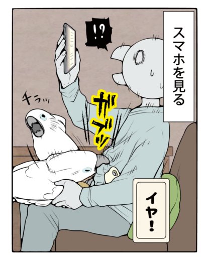 飼い主の動きを奪いたいオウム 