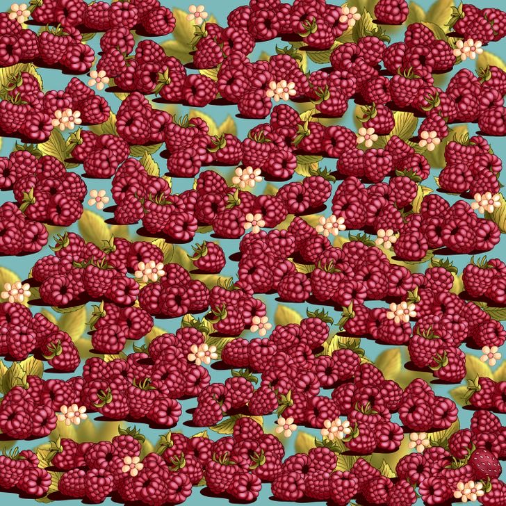 נראתכם 🙌🏻 מצאו וסמנו את התות שדה.©️
.
.
.
.
from: josh