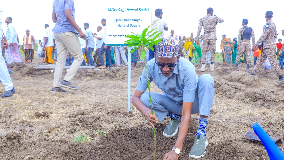 Awel Arba tweet media