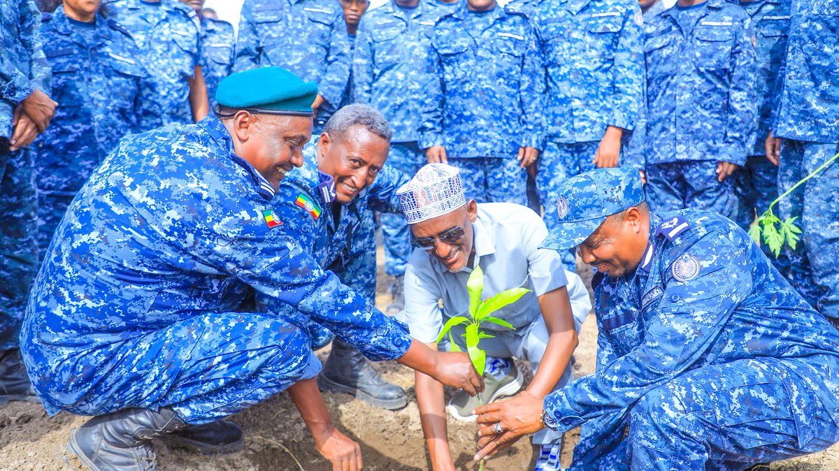 Awel Arba tweet media