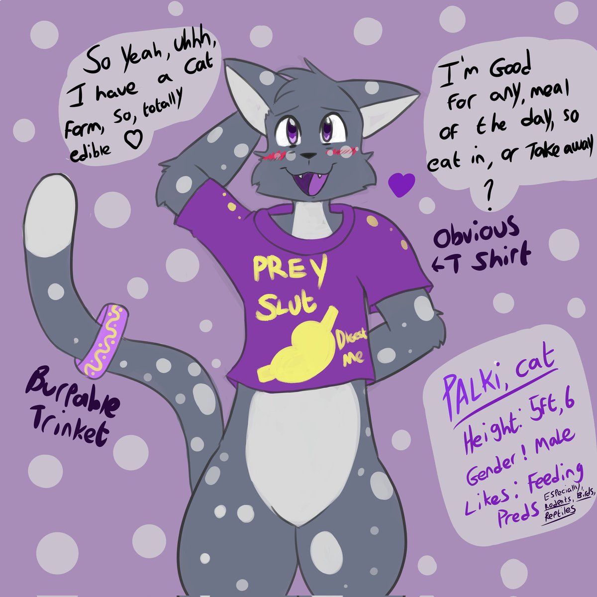 Palki Cat Derg tweet media
