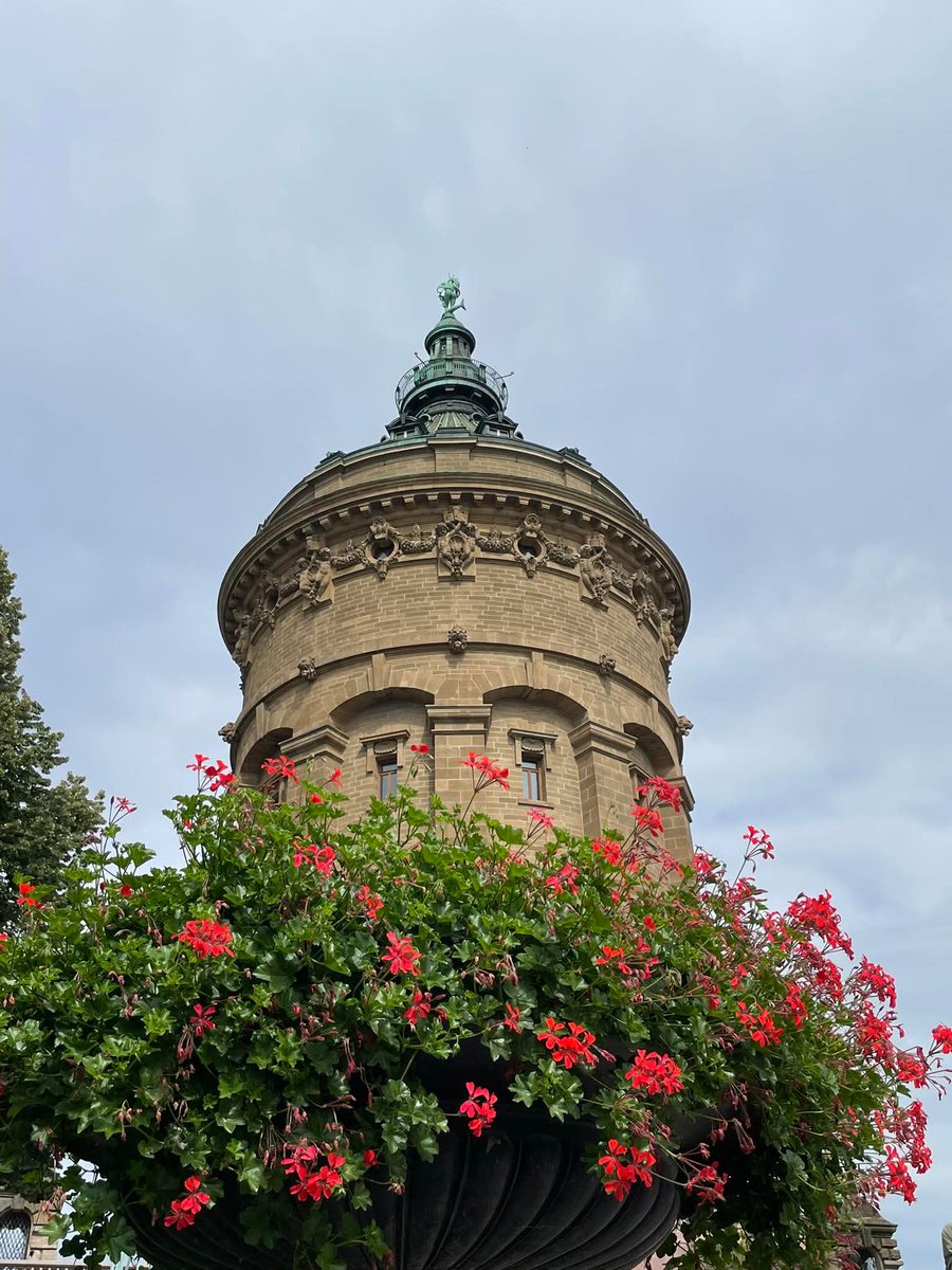 Ich bin mittlerweile auch in Mannheim angekommen! 👋