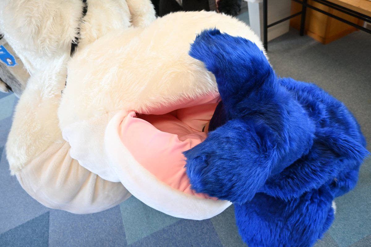 コトラ@ウィッセル&アルミラ&エコー　NEXT : tweet media