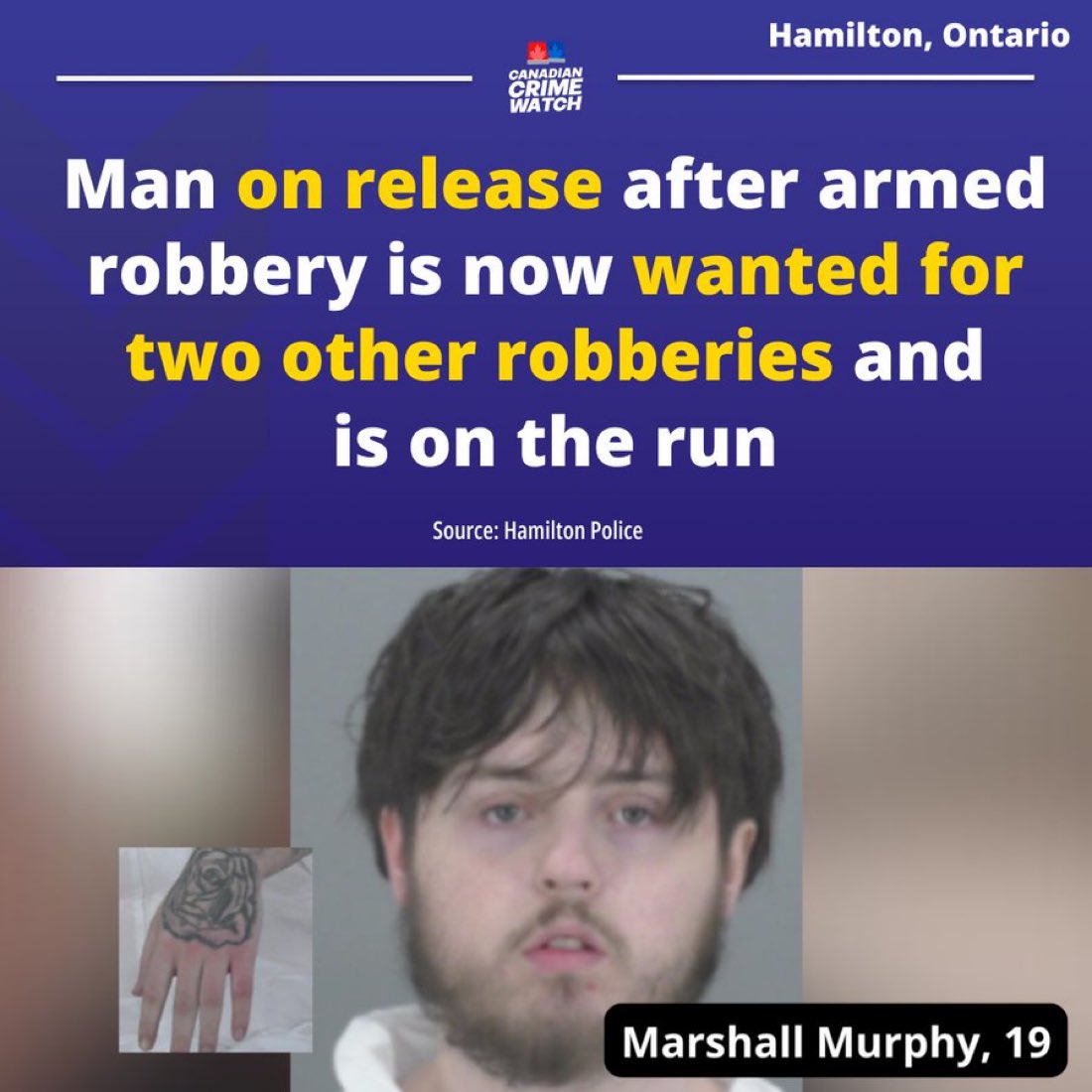 Concerned Canadian tweet media