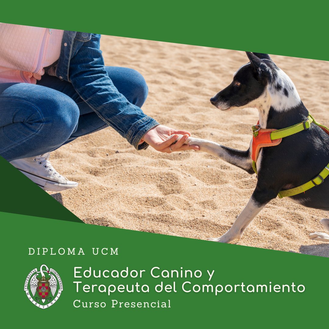 FVeterinariaUCM (@veterinariaucm) on Twitter photo 🎓 ¡Estudia con nosotros! ➡ 𝗘𝗱𝘂𝗰𝗮𝗱𝗼𝗿 𝗖𝗮𝗻𝗶𝗻𝗼 𝘆 𝗧𝗲𝗿𝗮𝗽𝗲𝘂𝘁𝗮 𝗱𝗲𝗹 𝗖𝗼𝗺𝗽𝗼𝗿𝘁𝗮𝗺𝗶𝗲𝗻𝘁𝗼
¿Te gustaría estudiar el comportamiento y educación canina desde una perspectiva avalada científicamente?
Info en ➡f.mtr.cool/sxbogzqxsb
📩 mastetol@vet.ucm.es 🎓 ¡Estudia con nosotros! ➡ 𝗘𝗱𝘂𝗰𝗮𝗱𝗼𝗿 𝗖𝗮𝗻𝗶𝗻𝗼 𝘆 𝗧𝗲𝗿𝗮𝗽𝗲𝘂𝘁𝗮 𝗱𝗲𝗹 𝗖𝗼𝗺𝗽𝗼𝗿𝘁𝗮𝗺𝗶𝗲𝗻𝘁𝗼
¿Te gustaría estudiar el comportamiento y educación canina desde una perspectiva avalada científicamente?
Info en ➡f.mtr.cool/sxbogzqxsb
📩 mastetol@vet.ucm.es