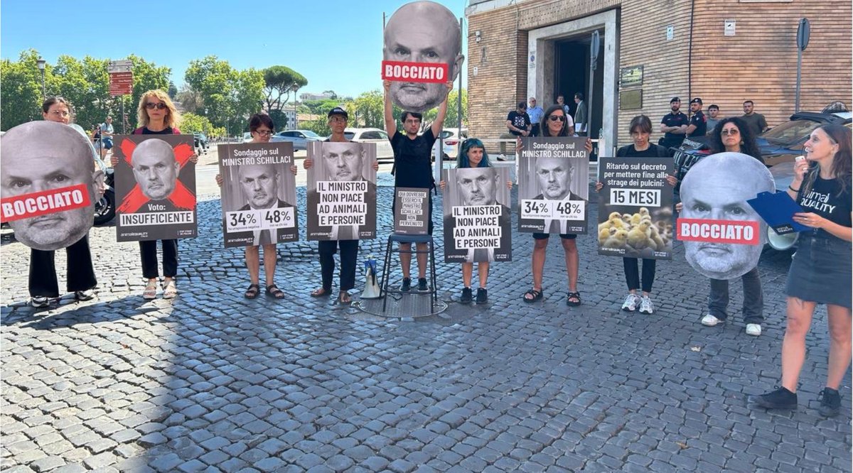 •Quanti pulcini devono ancora morire prima che il Ministro Schillaci intervenga? Ogni giorno di attesa è una condanna a morte. Il tempo è scaduto.  animalequality.it/campagna/stop-…
