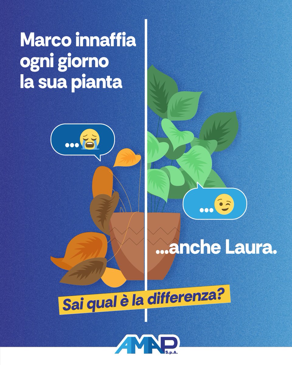 Sai che innaffiare nelle ore più calde fa evaporare fino al 30% dell’acqua? Marco lo ignora. Laura no. E la sua pianta ne è la prova. Seguici per altri consigli.

#AMAPSPA #servizioidricointegrato #palermo #cittàmetropolitanadipalermo #acqua #servizioidricopalermo