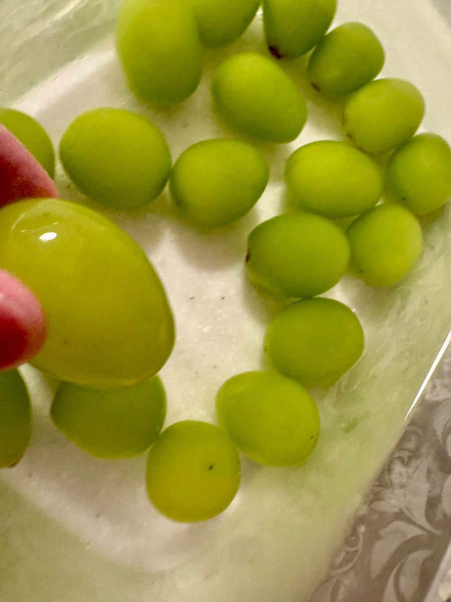 風呂上がりに待ちに待ったシャインマスカットのサイダー漬け！！ うま