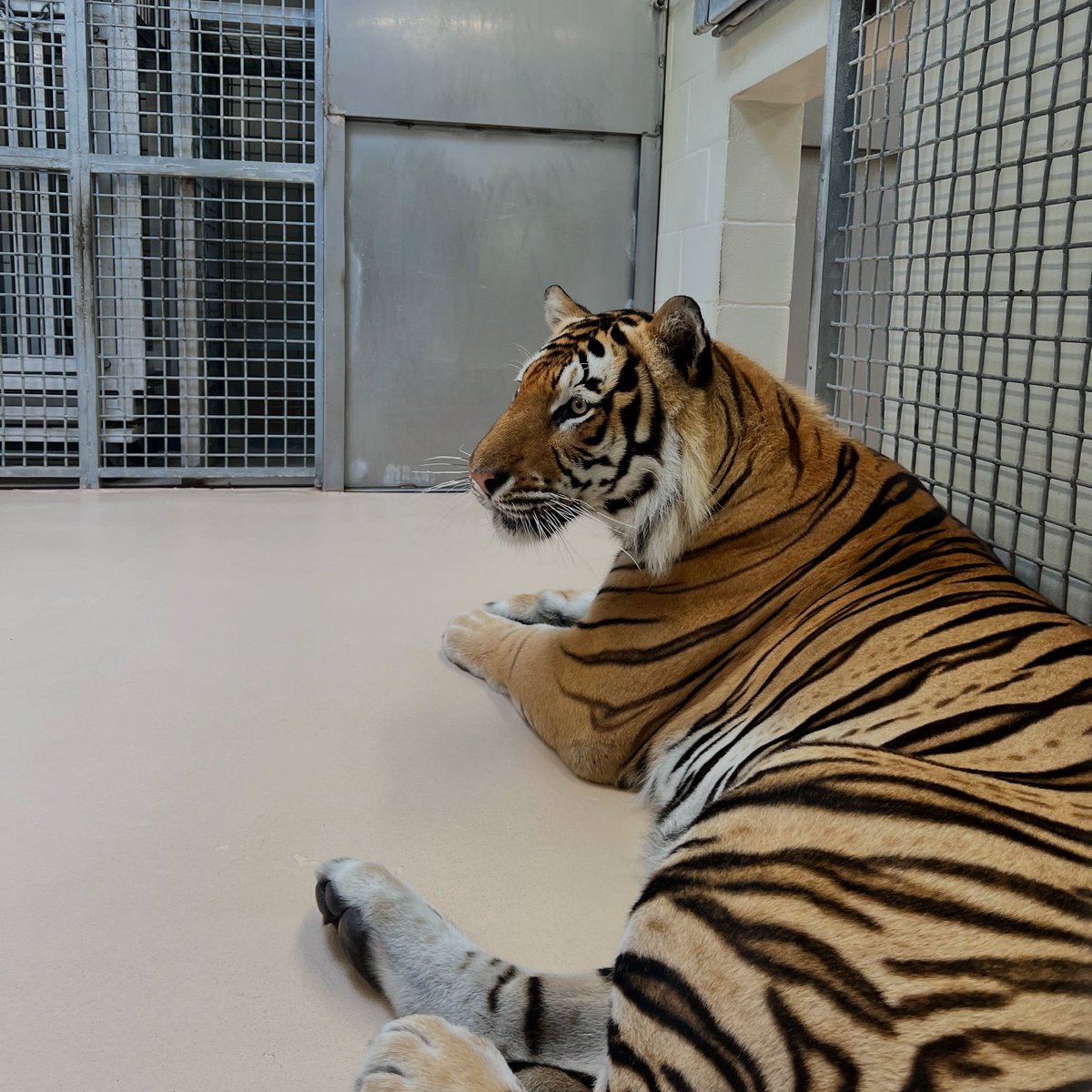 Inside for a while because of yard work.