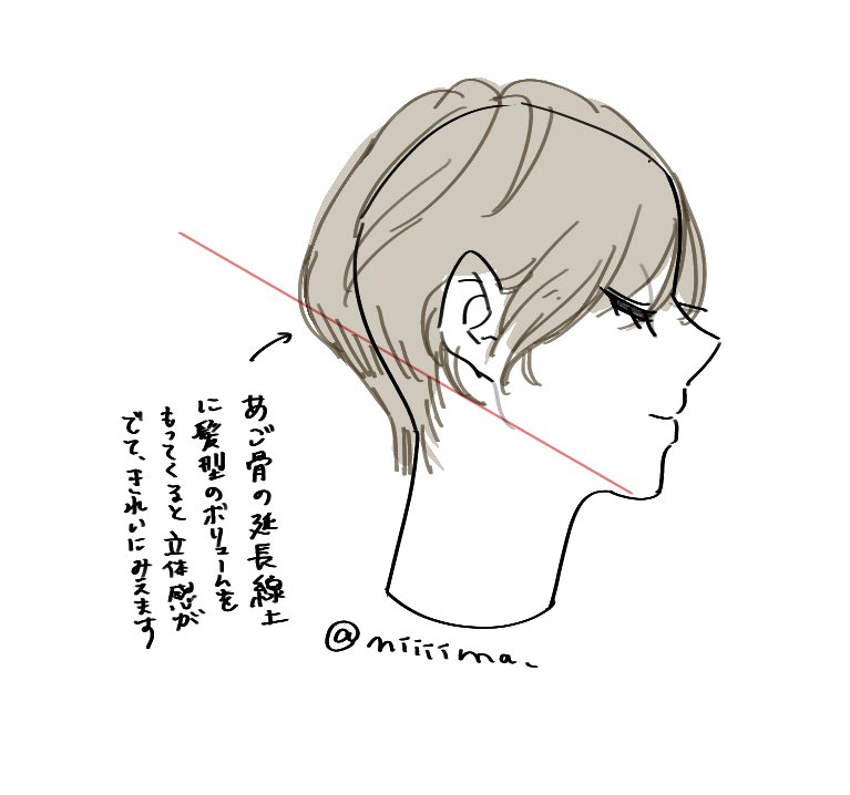 髪型の立体感や丸みに迷ったらあご骨の延長を意識してみると良いかも。 