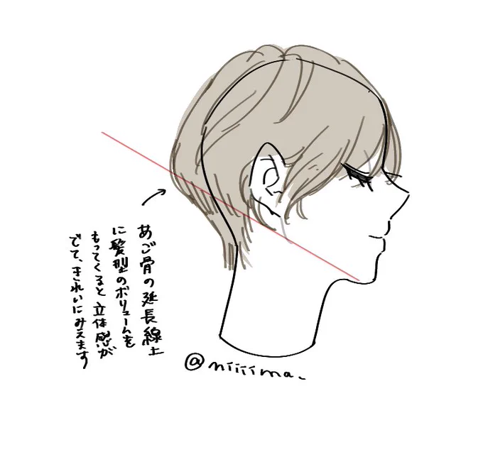 髪型の立体感や丸みに迷ったらあご骨の延長を意識してみると良いかも。 