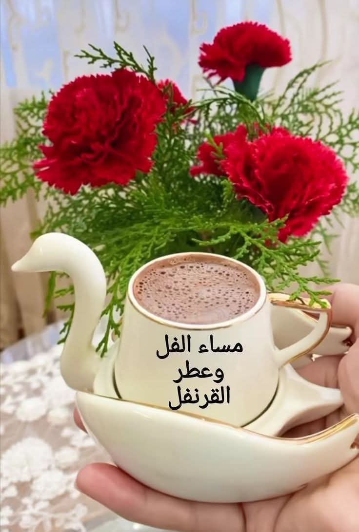 تحية المساء💜 ليسـت مجرد  حروف وكلمات بل هى  همسـات  من القلب تسـافر عبـر الزمان وتعبر الأميال🥀تصيب او تخطيء مقصدها ولكنها تلمس القـلوب فسلام على قلوب لمسها همس الحروف مساء الورد للبعيدين عن العين وحاضرين في القلب وبين السطور يسكنون الحروف ودقاتها سلام على حروف تاهت عن طريقهـا