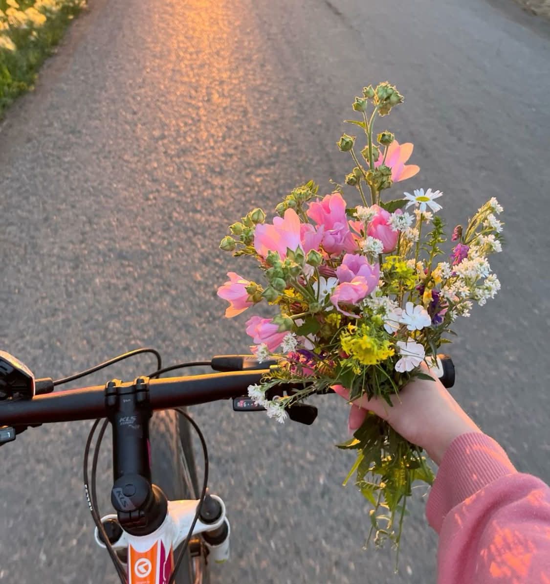 Good evening 
Stay connected 
Stay blessed