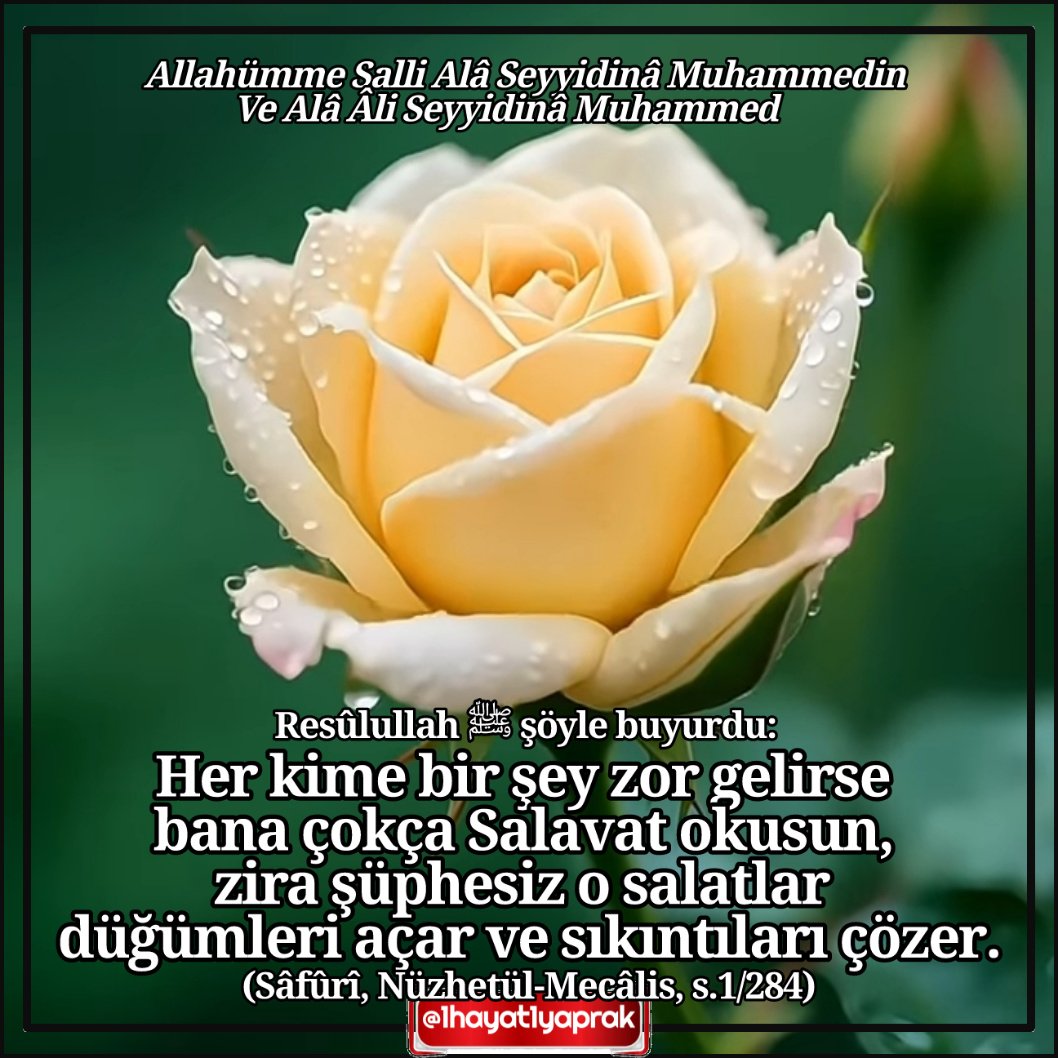 1hayat1yaprak's tweet photo. Rasûlullah ﷺ şöyle buyurdu;
Her kime bir şey zor gelirse bana çokça #salavat okusun, zira şüphesiz o salatlar düğümleri açar ve sıkıntıları çözer.
(Sâfûrî, Nüzhetül-Mecâlis, s.1/284)
#Muhammedecanfeda ❤️ https://t.co/Yjquh69YV4