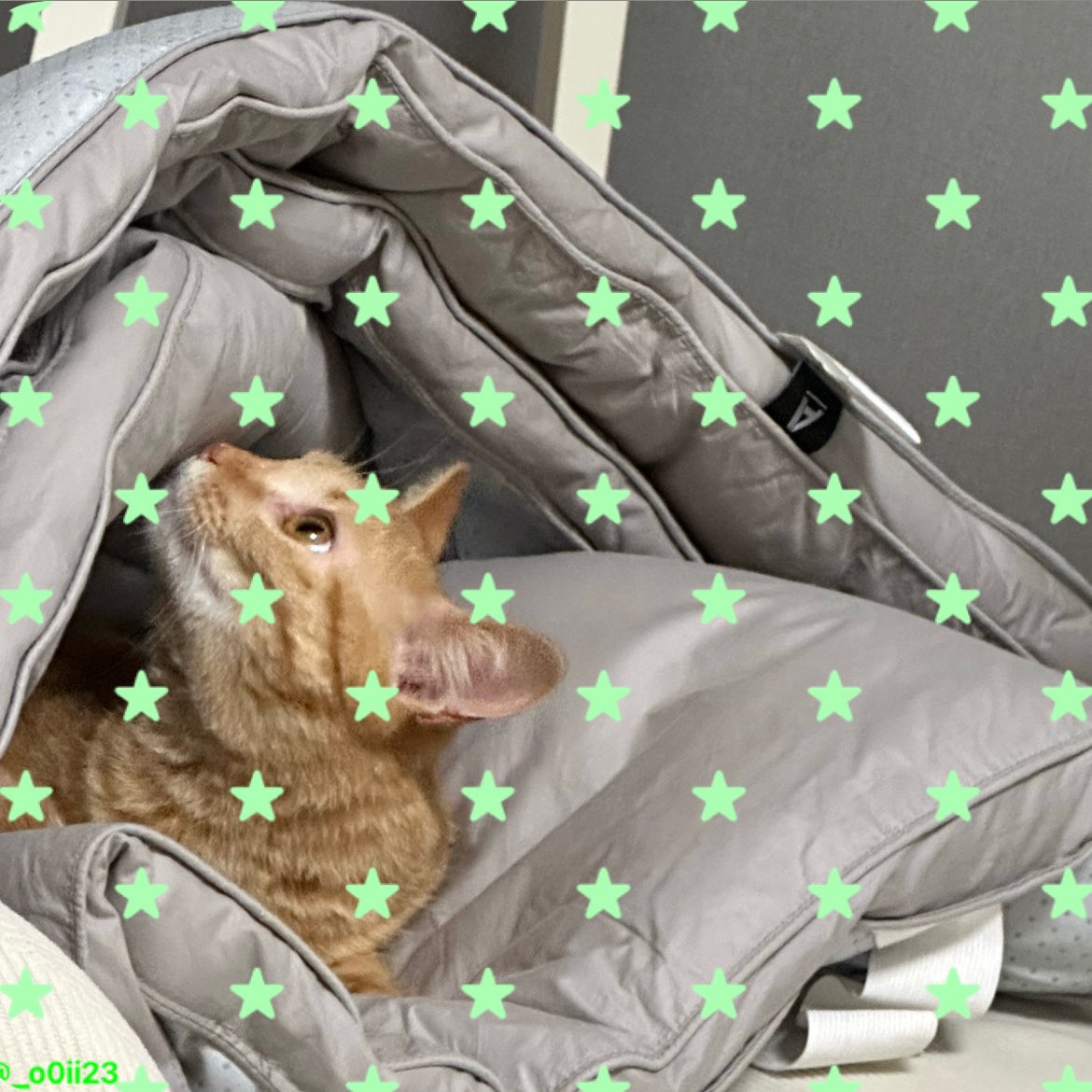 벌써 8월이라니..ꧦ𐅁𐀸𐋠𛰙᭜𖫴𖫰𖫱𖫳𖫲𖫲𖫳𖫴𖫰𖫱꛰ﯩᩝ︪᭜𖫴𖫰𖫱𖫳𖫲𖫲𖫳𖫴𖫰𖫱꛰ީᩝ𛰚
마이 러브 트친분들 7월 너무 고생했어요 8월에는 행복한 순간들이 더 늘어나길 바래요🩵

#마음찍은트친과아무것도하지않지만그저서로를뮤트하지않았음을확인하며8월도행복하시길바라기