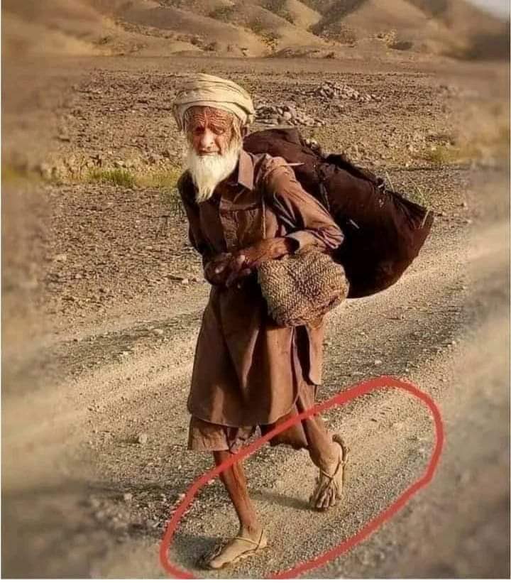 kokee73's tweet image. اساں وقت نبھائے ہر رنگ دے وچ۔
رنگ رچدے گئے 
اساں نچدے گئے۔
ہر قدم تے مچ دے منہ وچ آئے۔
مچ مچدے گئے 
اساں نچدے گئے۔
پھٹ پھٹ تے امجد 
پچ لائے ہس۔
پچ پچدے گئے
اساں نچدے گئے۔
ایں زندگی موت دی کھیڈ دے وچ ۔
ساہ بچدے گئے
اساں نچدے گئے ۔
(امجد بلوچ)