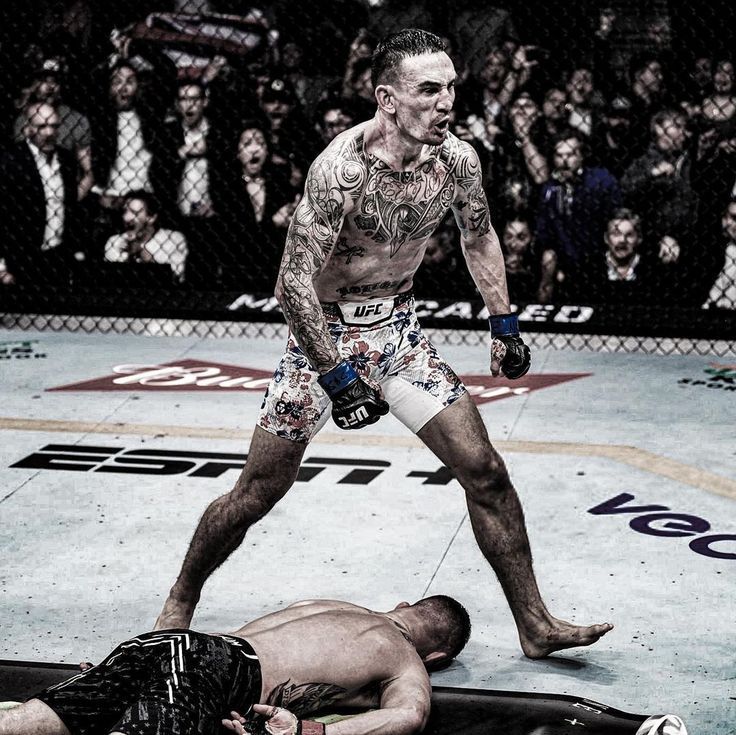 RootsOfCombat's tweet image. 🥶