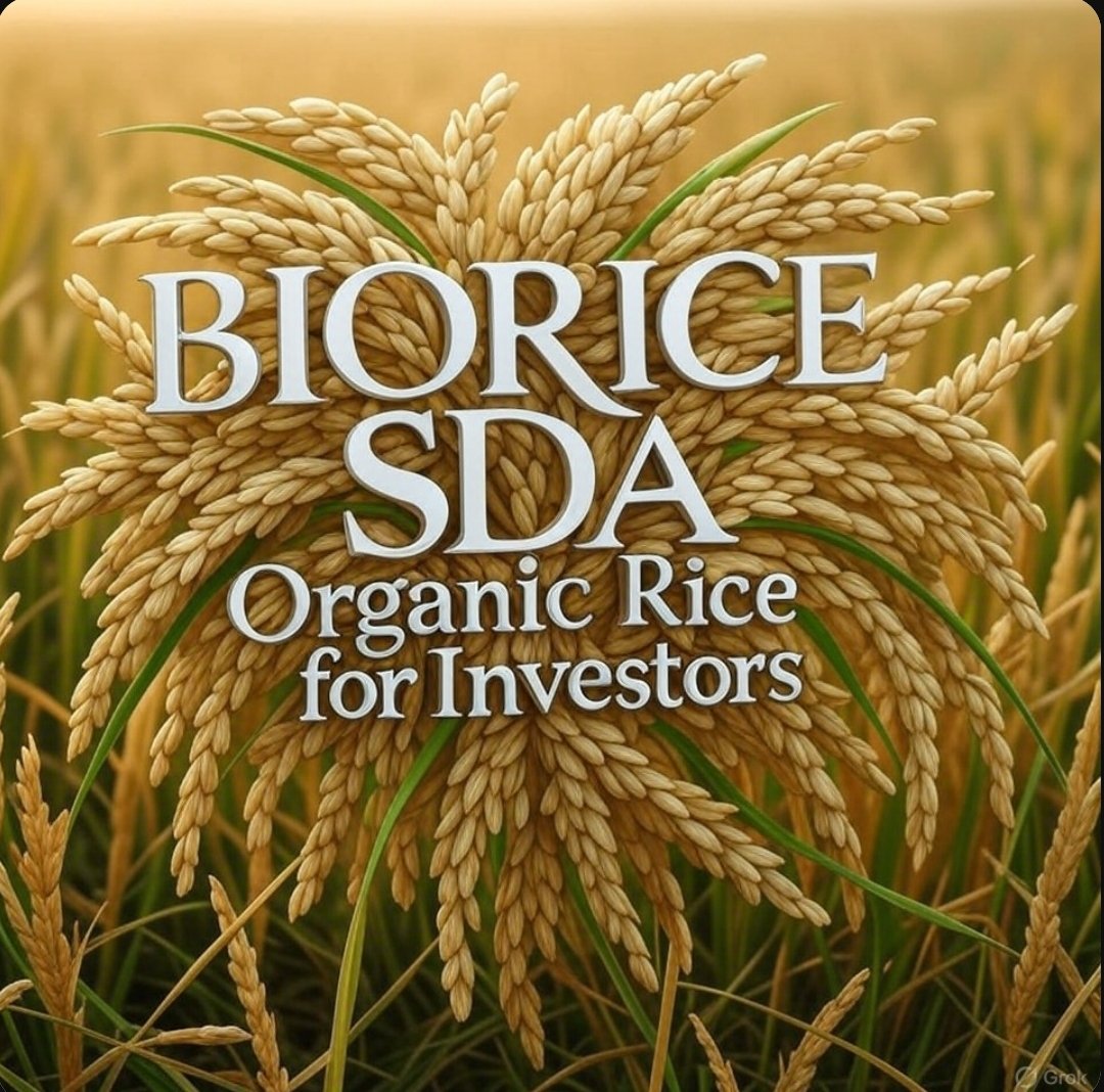Ewave Market sidra (@sidrastartewave) on Twitter photo ✅Invest in local organic rice production with BIO RICE SDA and contribute to the health of the community.
BIO RICE SDA: Green investment, guaranteed returns! Here🔥👇
sidrastart.com/project/c213f4…
And join the group to be informed.🗞
t.me/+DojO3tj6fWxiZ…
<a href="/BaboNestor/">Nestor Babo</a>
<a href="/noumanmh/">Nouman Mahmood</a> @dex ✅Invest in local organic rice production with BIO RICE SDA and contribute to the health of the community.
BIO RICE SDA: Green investment, guaranteed returns! Here🔥👇
sidrastart.com/project/c213f4…
And join the group to be informed.🗞
t.me/+DojO3tj6fWxiZ…
<a href="/BaboNestor/">Nestor Babo</a>
<a href="/noumanmh/">Nouman Mahmood</a> @dex