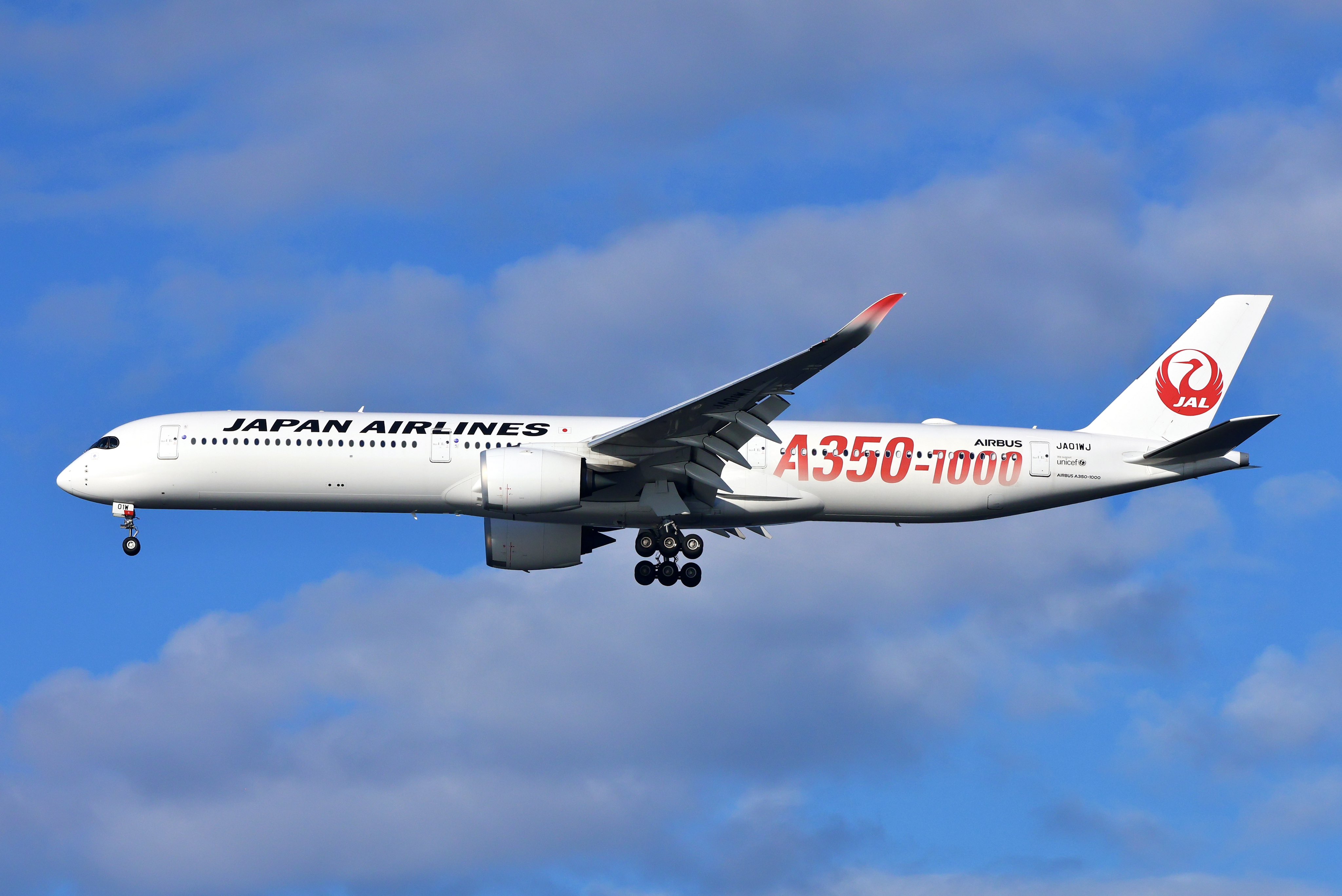 優太朗さん確認用→専用 Flying Honu 約50cm Super Express on X: 