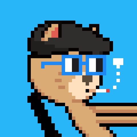 BetoButter's tweet photo. Just dropping by to let you know that I look GOOD!
New pfp
#mfpurr 2562 https://t.co/infN38grMm