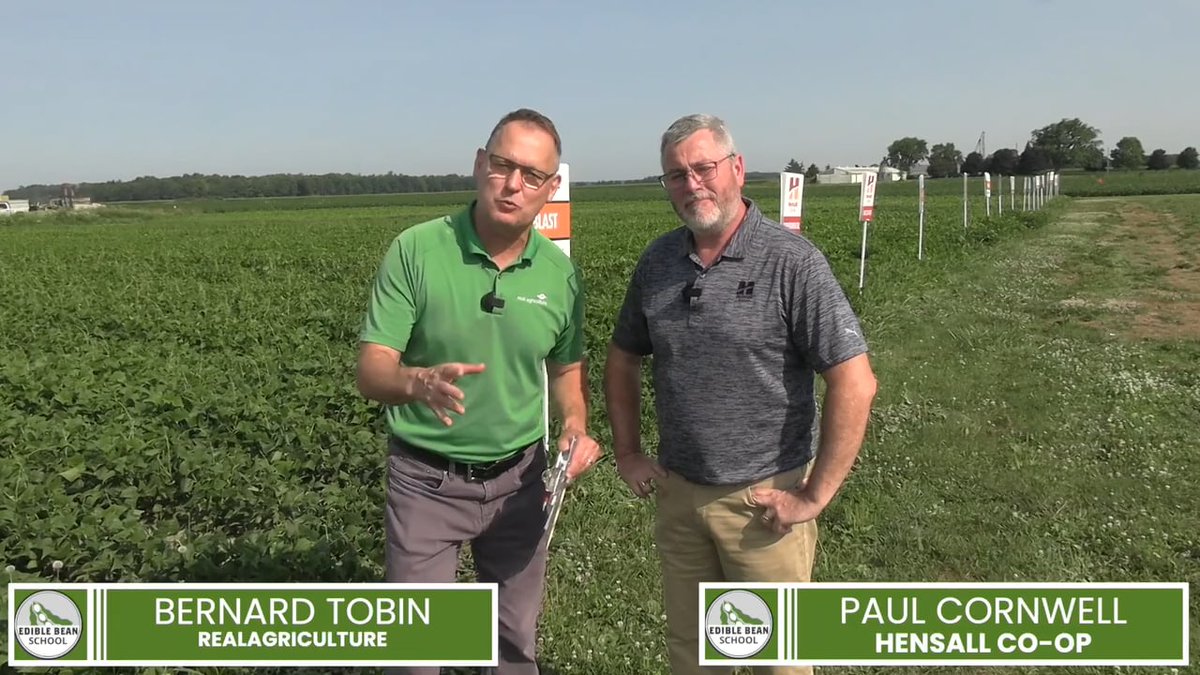 The latest episode of <a href="/realagriculture/">RealAgriculture</a>'s Edible Bean School, brought to you by Hensall Co-op, dives into developing new edible bean varieties and bringing them to grower fields in Canada.

Watch now: ow.ly/o3EJ50Wy1h2

#EdibleBeans #HensallCoop #RealAg #CropUpdate