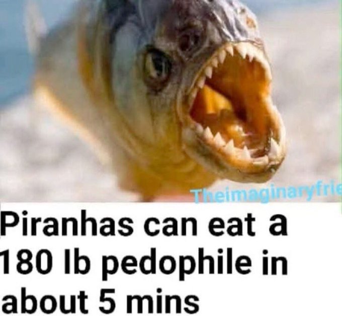 GxMZx_UWMAIMfrt?format=jpg&name=small