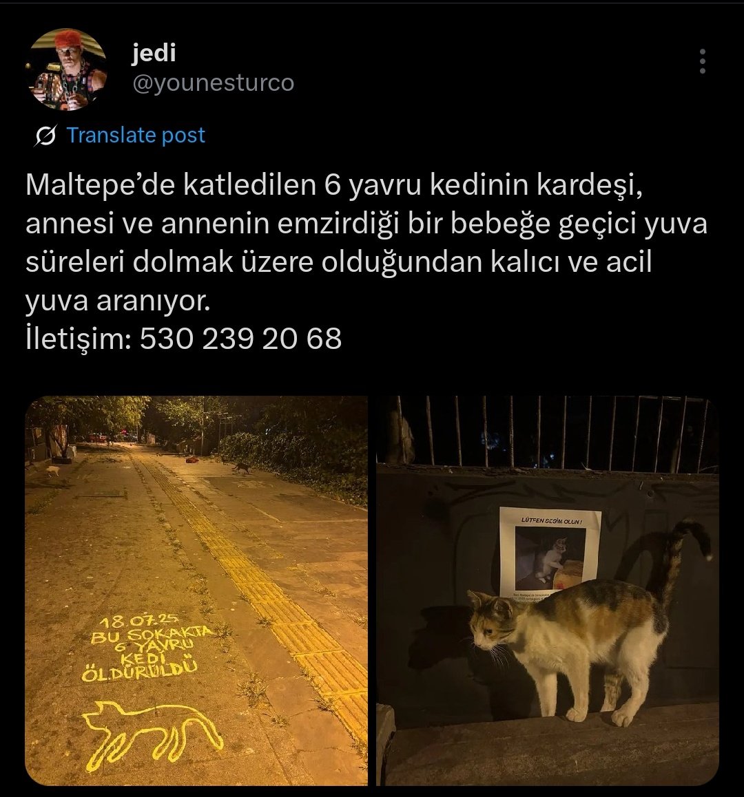 ÇOK ÇOK ACİL LÜTFEN PAYLAŞIR MISINIZ