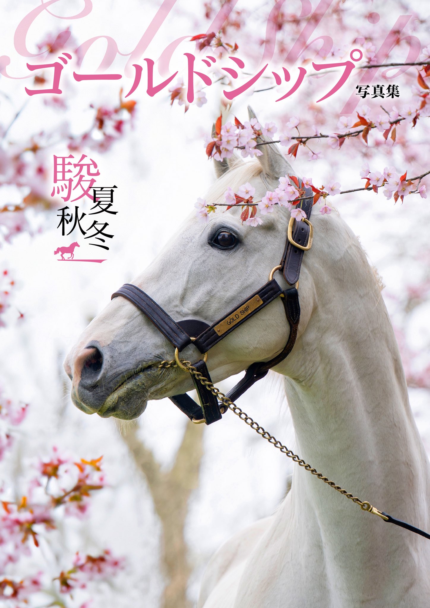 ゴールドシップ 優駿 写真集＆DVD 競馬 JRA