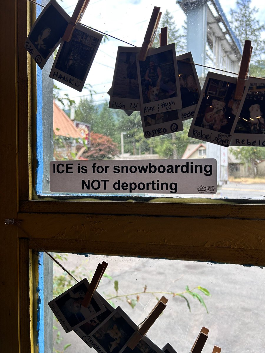 Cafeterías, restaurantes, jardines, ventanas… hay una 🇺🇸 que se niega a odiar y quiere resistir. #costaoeste #usa

Cafes, restaurants, houses, gardens, windows… there's a 🇺🇸 that refuses to hate and wants to resist. #westcoast #usa