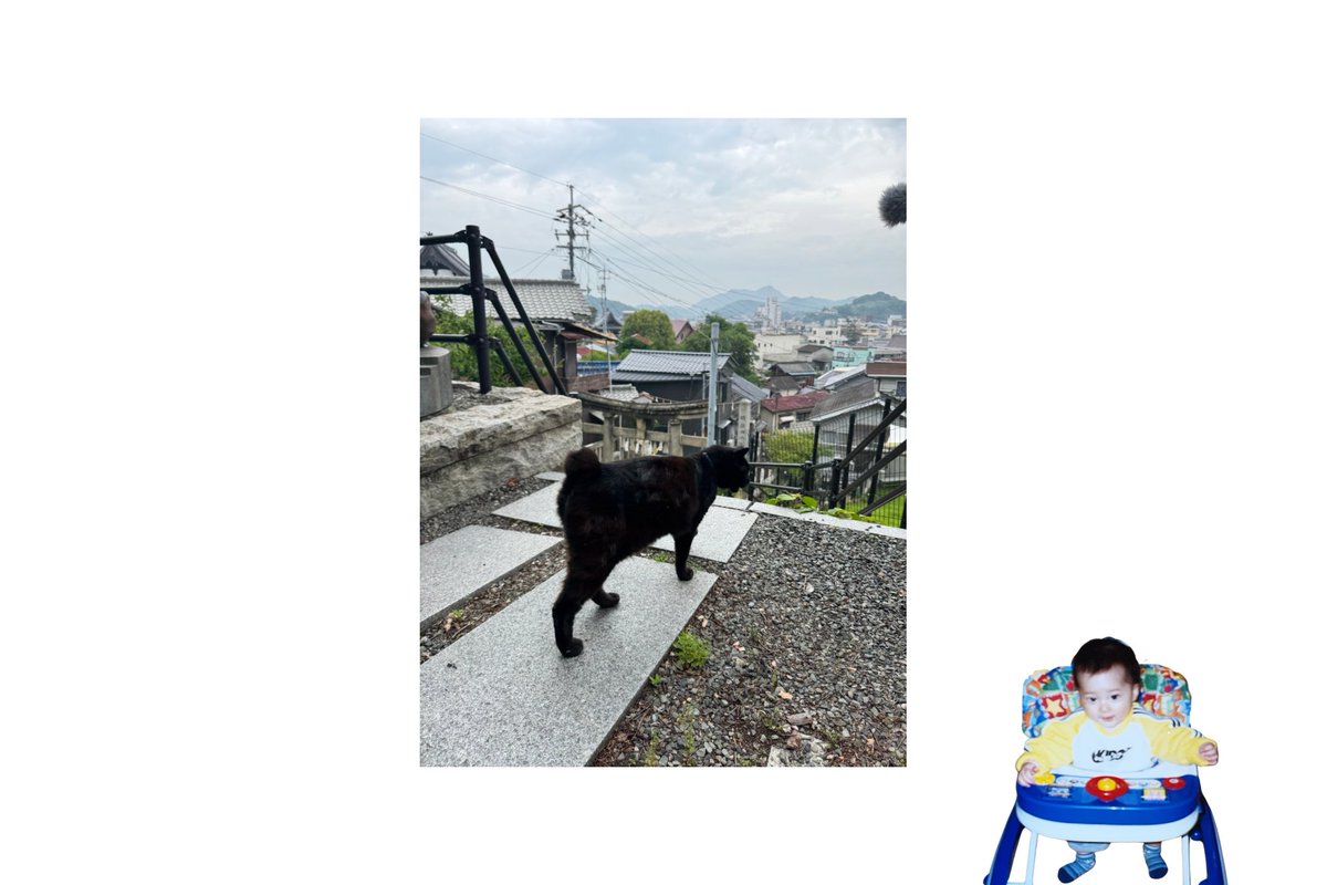 スピードスター