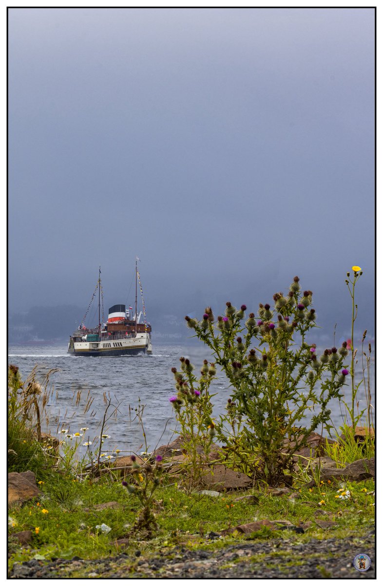 Michael Cuthbert Photography tweet media