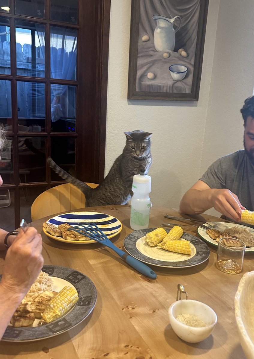 boobertoober's tweet photo. Wow thanks so much for inviting me to dinner that’s so cool https://t.co/LXM94cYULV