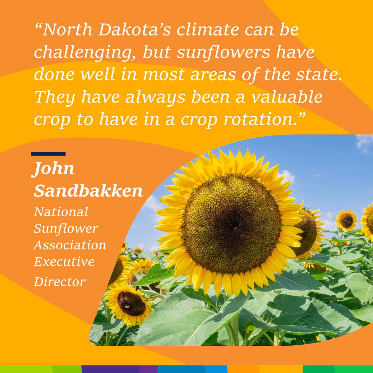 ADM Farmer Services (@admfarmservices) on Twitter photo Happy National Sunflower Day! Today, we’re recognizing the powerful role sunflowers play in agriculture.
According to National Sunflower Association, sunflowers:
🌻 Diversify crop rotations, helping reduce disease and insect pressure
🌻 Thrive in drier conditions with deep root Happy National Sunflower Day! Today, we’re recognizing the powerful role sunflowers play in agriculture.
According to National Sunflower Association, sunflowers:
🌻 Diversify crop rotations, helping reduce disease and insect pressure
🌻 Thrive in drier conditions with deep root