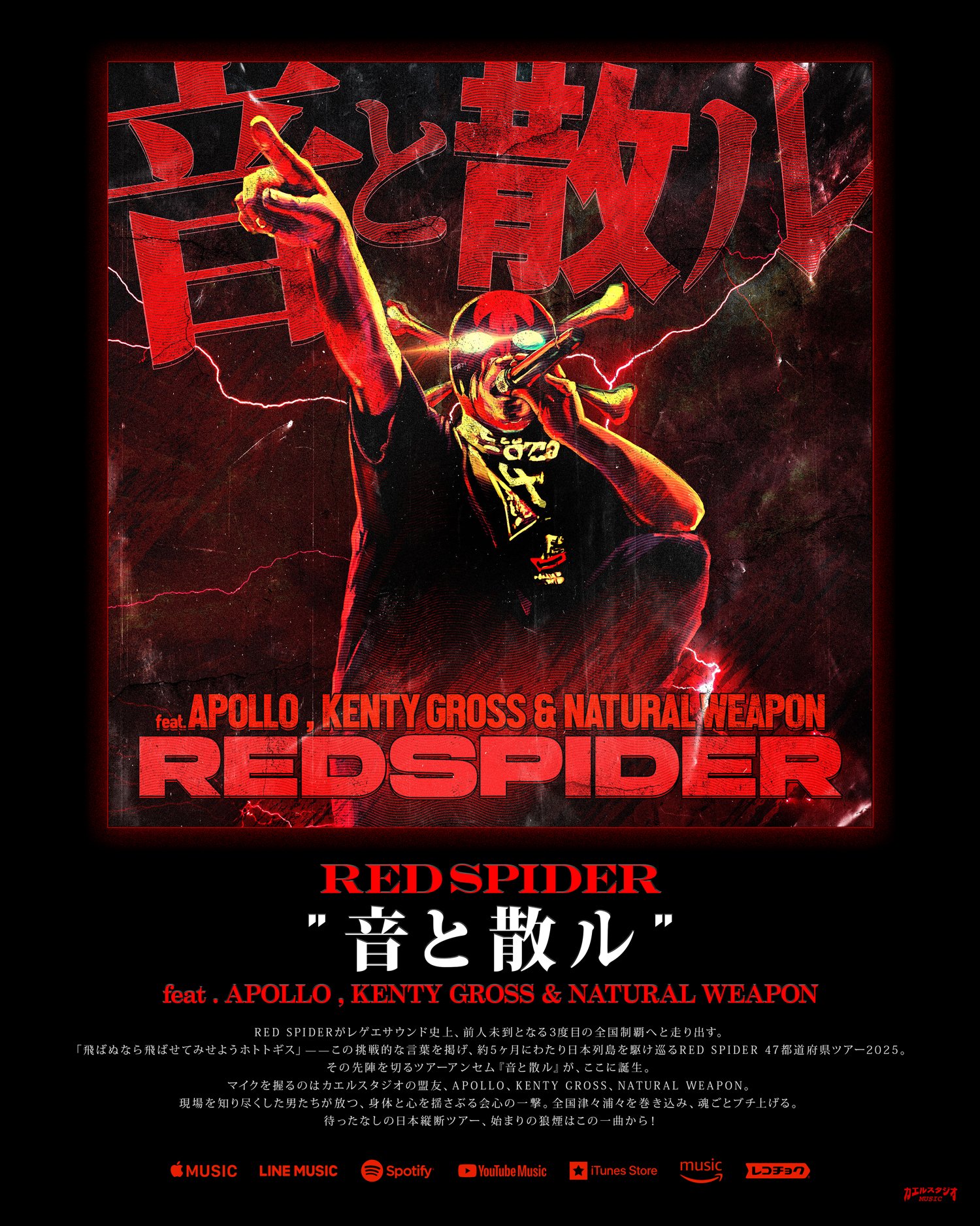 RED SPIDER カエルスタジオ　関連CD 19枚セット カエルスタジオ アーティスト詳細