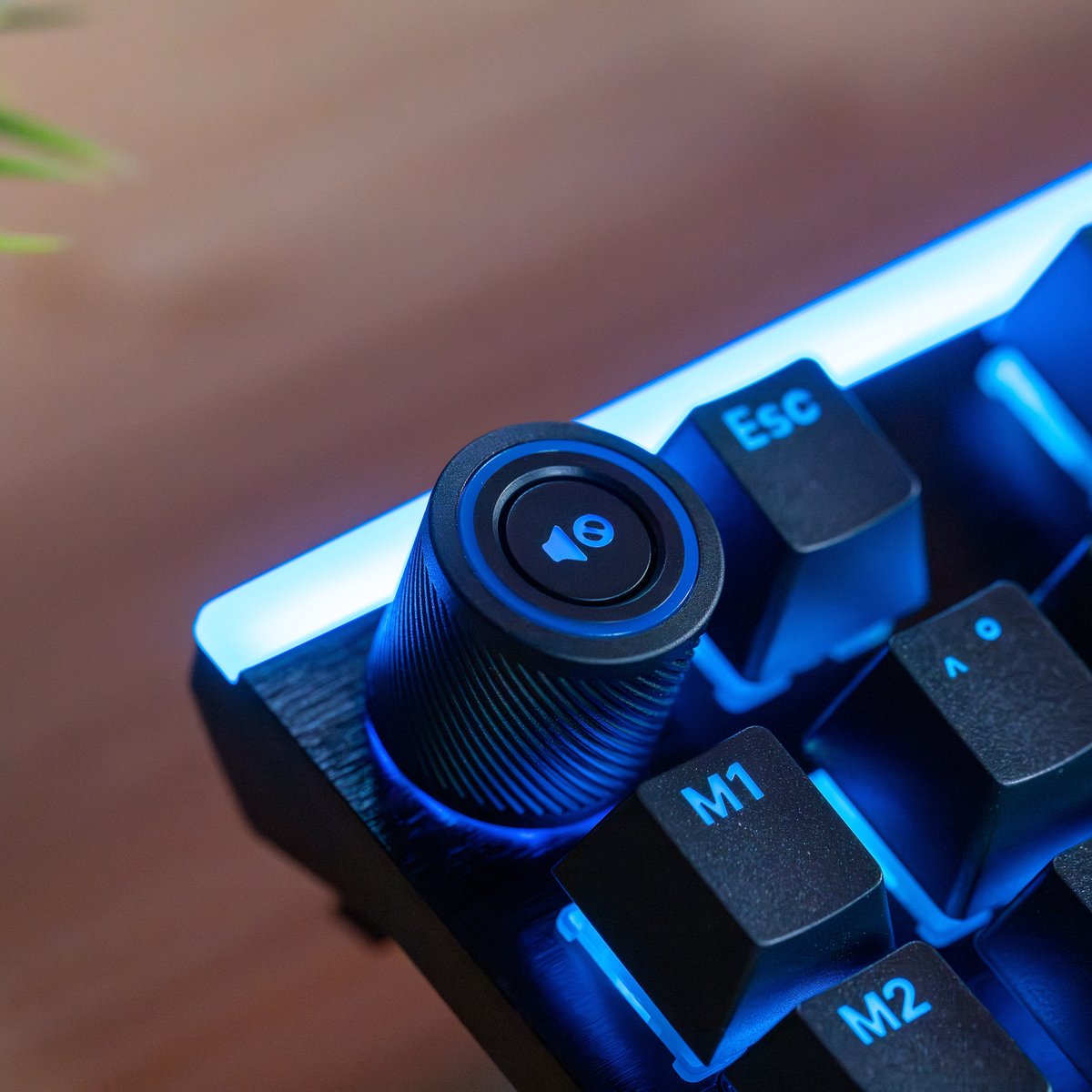 Le Light Mount mis en valeur par @PC Games Hardware 🖤💡

Comment configureriez-vous votre ARGB - lueur subtile ou full mode arc-en-ciel ? 🌈👇