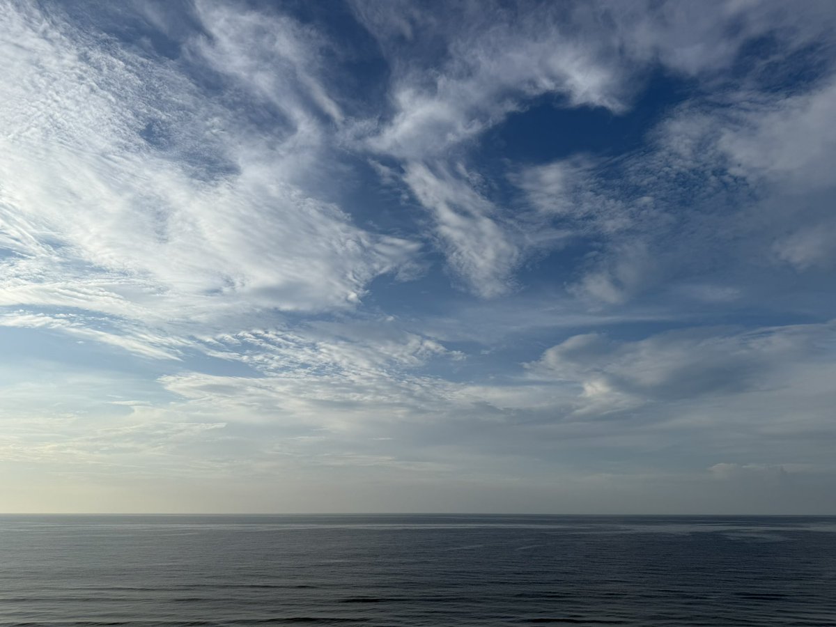 _bishop16's tweet image. Be.