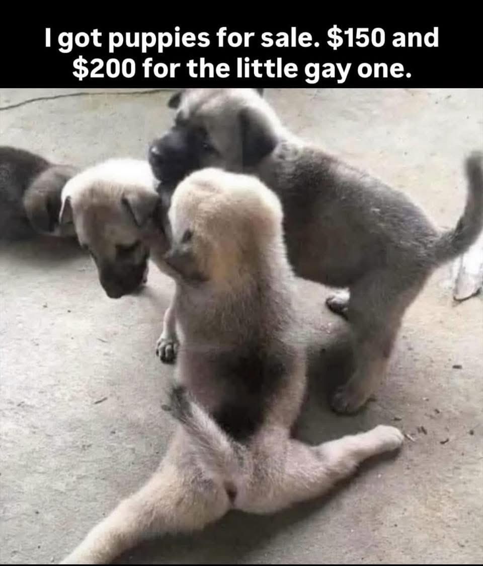 bnvys's tweet image. 