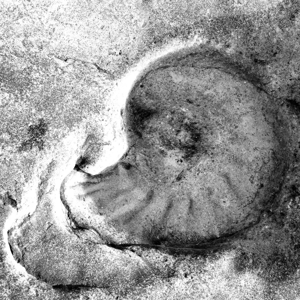 Forma with a shape echo
#Gallery365in2025DailyPrompt #Gallery365in2025JulyBrandt #Gallery365in2025
<a href="/Gallery365photo/">Gallery365photo</a>
