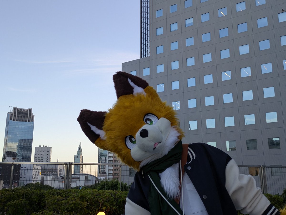 #みけこん2025なつ