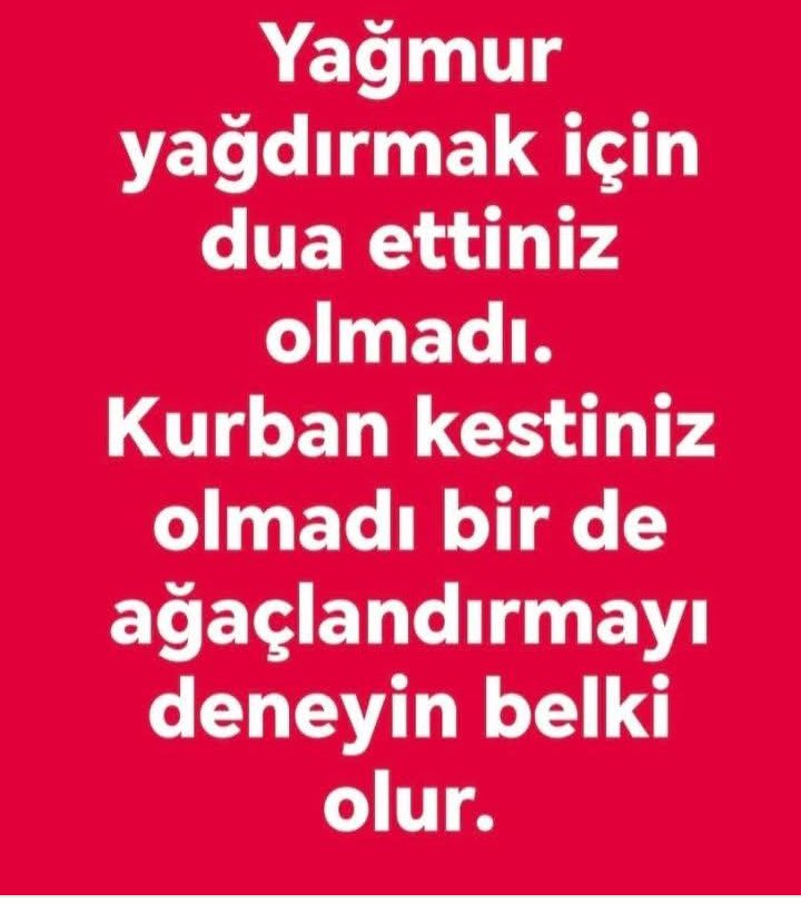 Ormanlarimizi yakacaginiza bakmayı deneseniz.