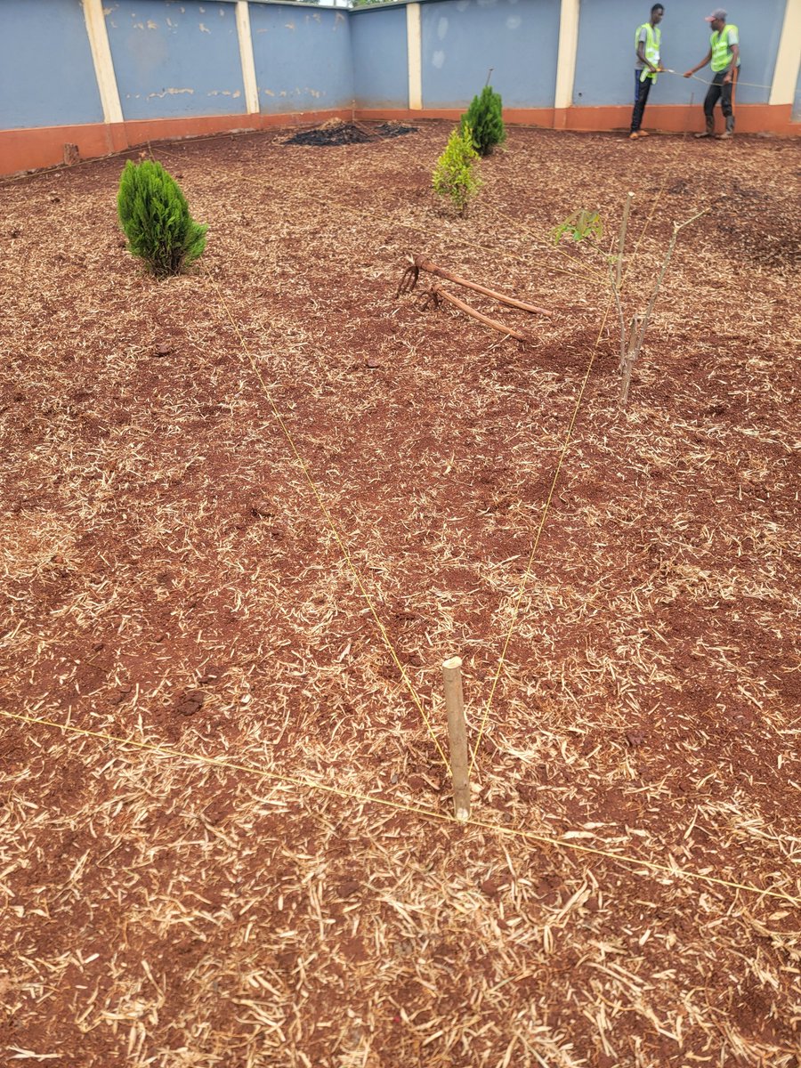 <a href="/cenas_j/">Cenas Ojung'a</a> LANDSCAPING
