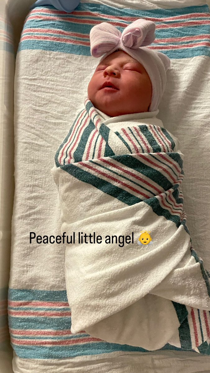 Rambo Ray tweet media